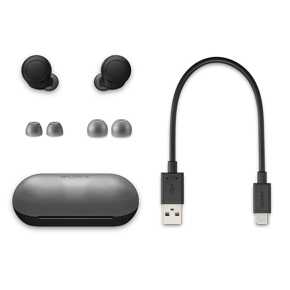 Sony WF-C500 Truly Wireless In-Ear Bluetooth Earbud